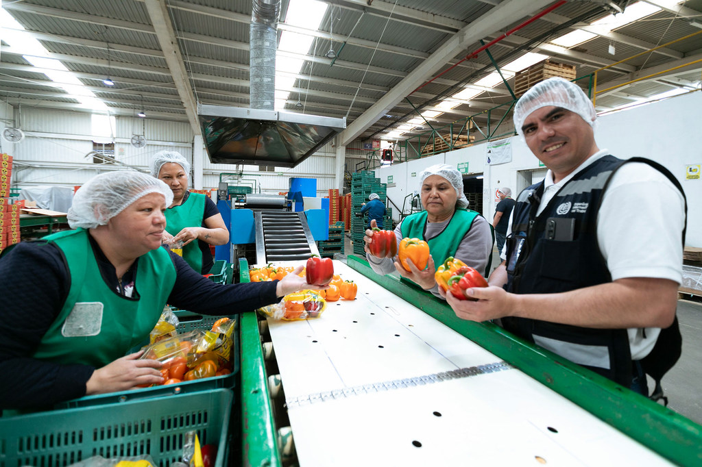 Глобальный ВВП вырастет в 2026 году, по прогнозам, на 2,7 процента.